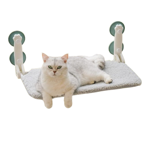 Window Bed