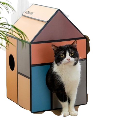 Cardboard House