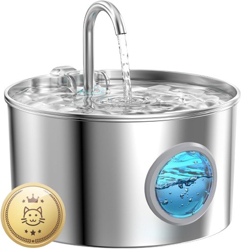 Water Fountain